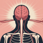 illustration stylisée douleurs cruralgiques