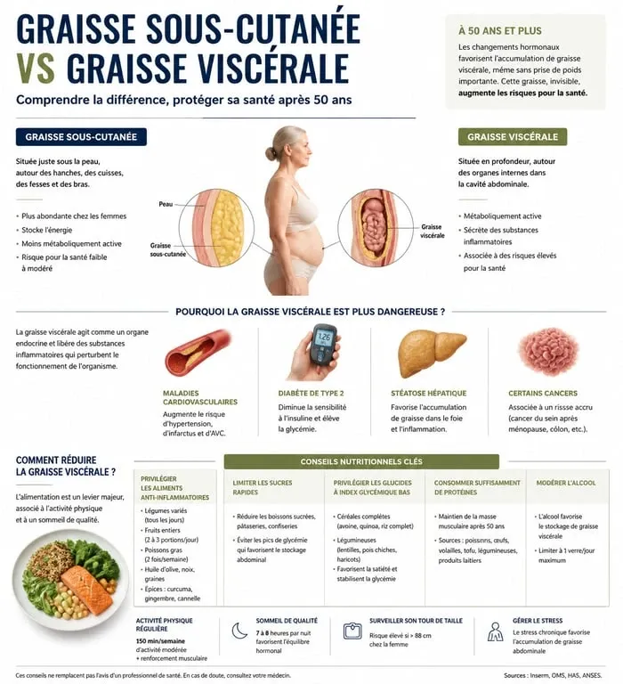 Infographie comparant la graisse sous-cutanée et viscérale pour perdre du ventre après 50 ans