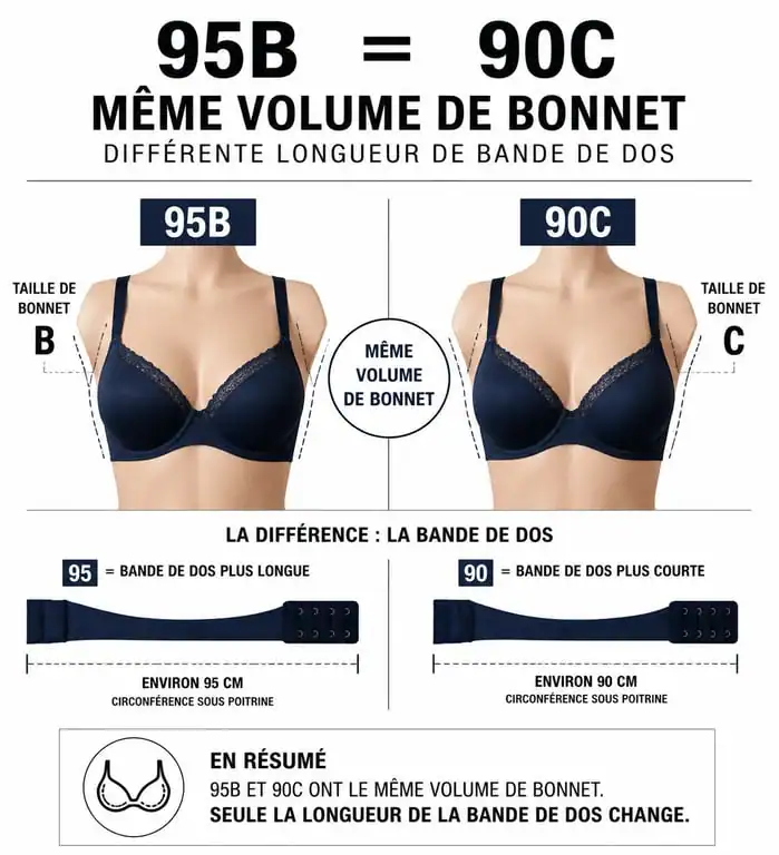 Infographie comparative montrant la différence entre 95B et 90C et le concept de sister sizes