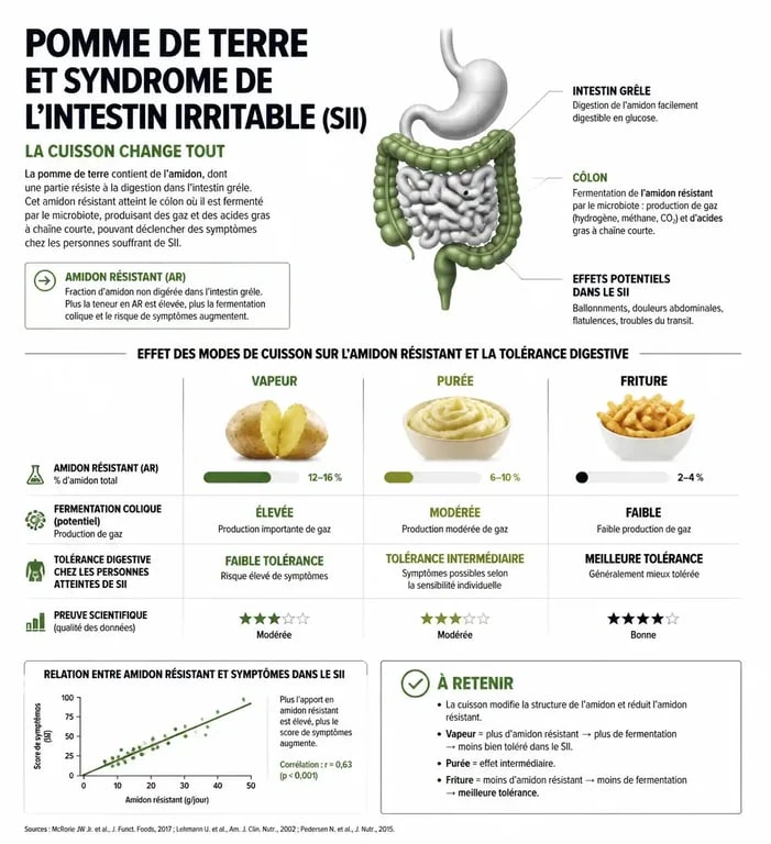 Infographie sur la tolérance digestive de la pomme de terre et le syndrome de l'intestin irritable (SII) selon le mode de cuisson