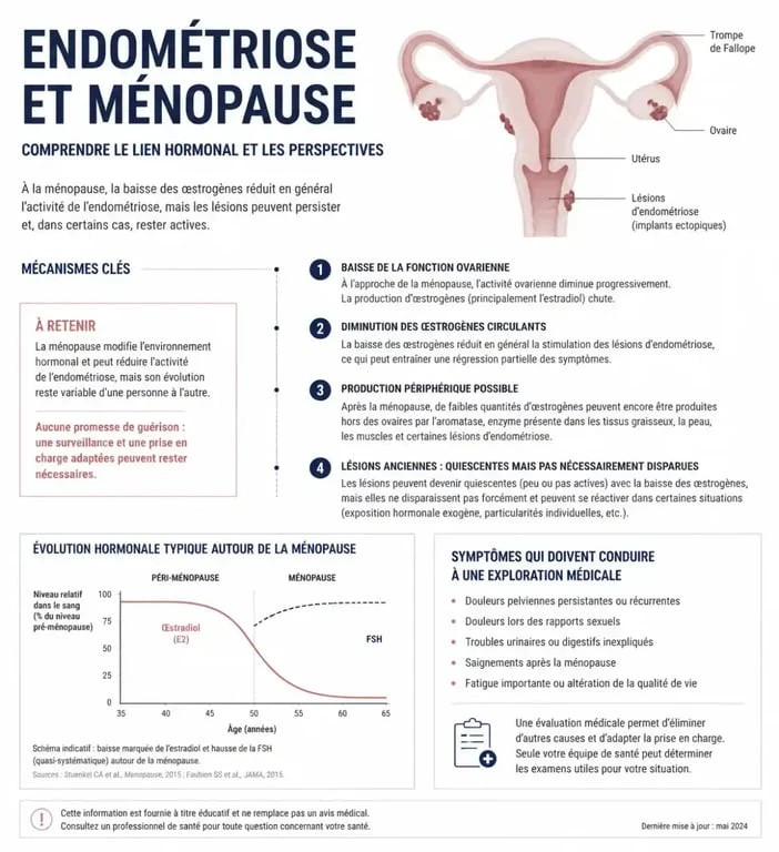 Infographie sur l’endométriose et la ménopause, avec le rôle des œstrogènes, de l’aromatase et des lésions quiescentes